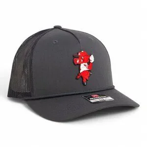 Nike | Accessories | Arkansas Razorbacks Pitching Ribby 3d Snapback ...
